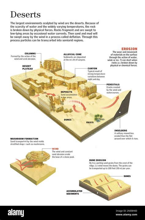 Desert Environment 的图像结果