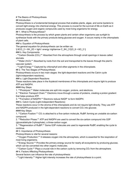 Image result for Basic Photosynthesis