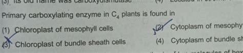 Primary carboxylating enzyme in C plants is found in (1) Chloroplast of m..
