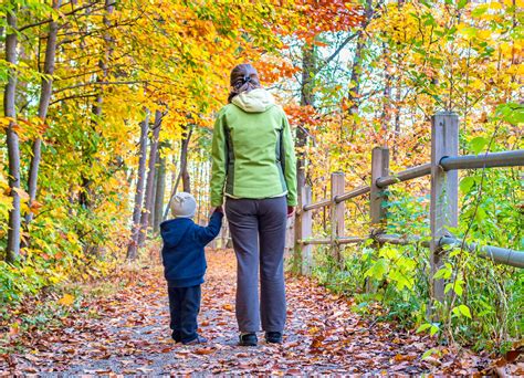 How to Treat a Poison Ivy, Oak, or Sumac Rash at Home