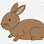 Image result for Clip Art of Bunny
