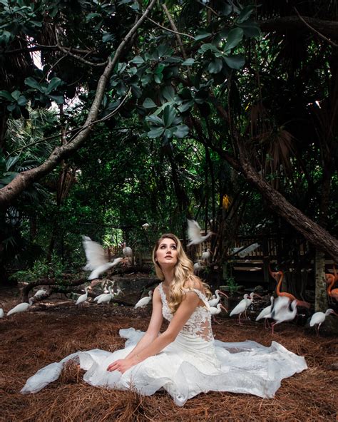 Animal Bride 的图像结果