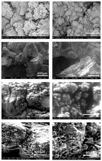 Sustainability | Special Issue : Microbial Bio-Grouting for Underground ...