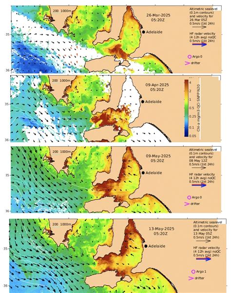South Australia's 2025 Algal Bloom: What We Know, What We're Learning. | Great Southern Reef