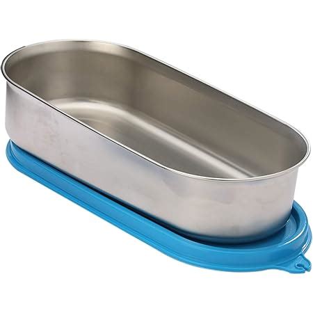 Buy Signoraware Crispy Steel Container Small, 550ml, Set of 1, Blue ...