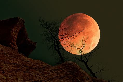 千年奇觀，關於血月亮，你知道多少呢？ - 每日頭條