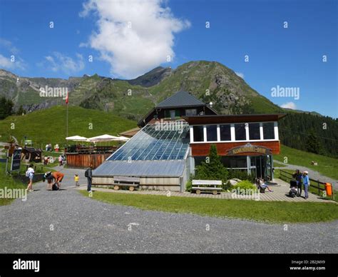 Allmendhubel, Murren, Bernese Oberland, Switzerland Stock Photo - Alamy