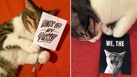 These pussies refuse to be grabbed | Vogue India