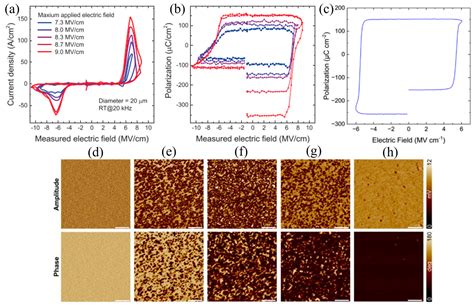 Aluminum-Nitride-Based Semiconductors: Growth Processes, Ferroelectric ...