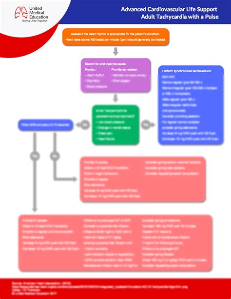 Tachycardia Algorithm 的图像结果