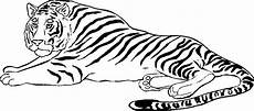 ausmalbilder tiere tiger tiger ausmalbilder malvorlagentv ausmalbilder tiere tiger tiger ausmalbilder malvorlagentv