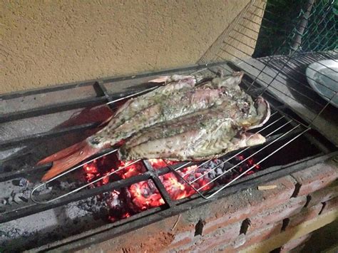 HOTEL CAPY (Puerto Angel, Mexico - Oaxaca) - Hotel Reviews & Photos ...