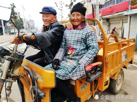 我国农村居民人均可支配收入70年实际增长40倍_澎湃号·媒体_澎湃新闻-The Paper