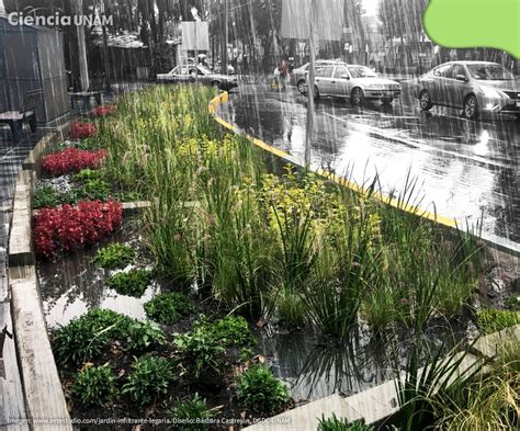 Infraestructura ecológica y tecnología verde