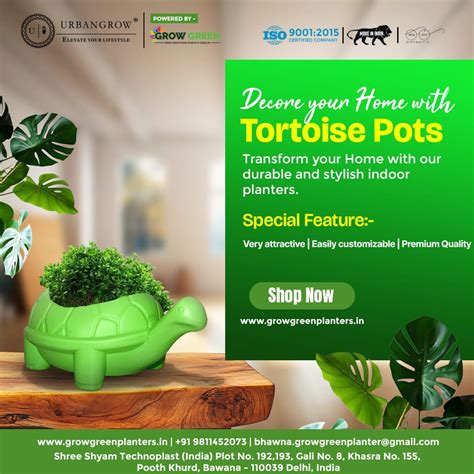 Tortoise Pots Manufacturer & Supplier from India