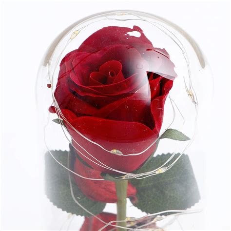 Buy Enchanted Red Rose Glass Dome Online | Archies Online