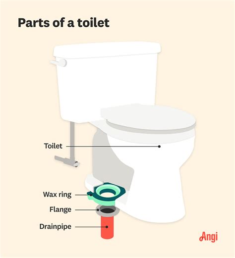 What is the Correct Toilet Flange Height? | Angi