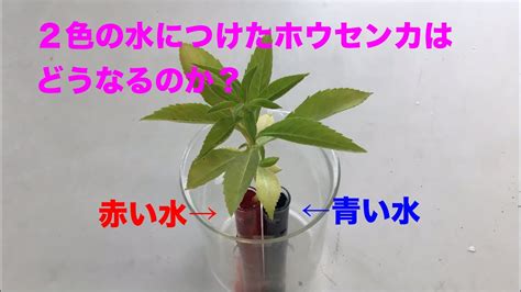 Image result for Base Recursion