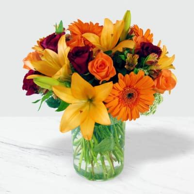 Exotic: Order Flowers Online | Interflora India | ID1359226