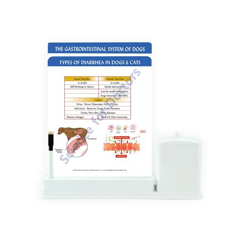 types of diarrhea in dogs & cats: 2 Slide Write Wipe With Utility Cont ...