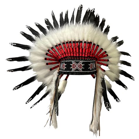 Feathers Hat Costume at Sam Bolivar blog