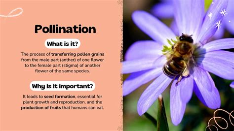 Pollination Importance 的图像结果