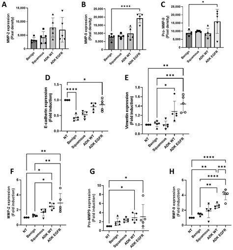 Exosomes from EGFR-Mutated Adenocarcinoma Induce a Hybrid EMT and MMP9 ...