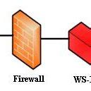 WNET IDs 的图像结果
