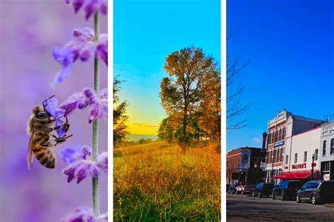 19 Fun and Interesting Facts about Arkansas (unique!)