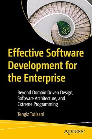 Effective Software Development for the Enterprise: Beyond Domain Driven ...