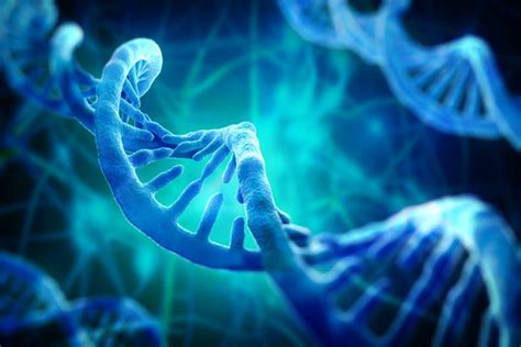 Image result for Genetics Algorithm Define