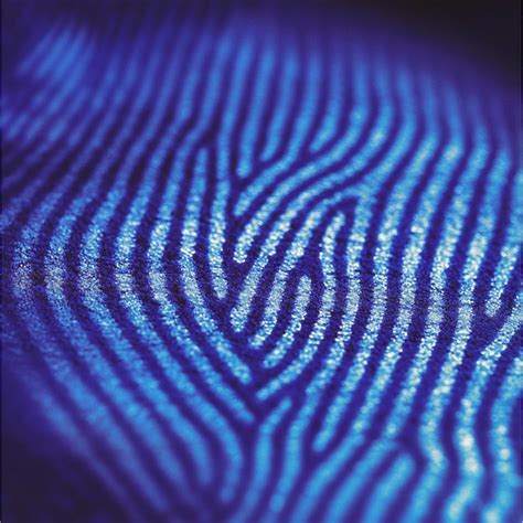 Palm Print Identification System 的图像结果