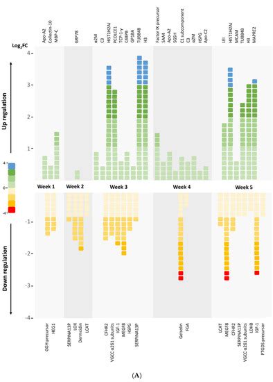 Quantitative Proteomic Analysis of Plasma after Remote Ischemic ...