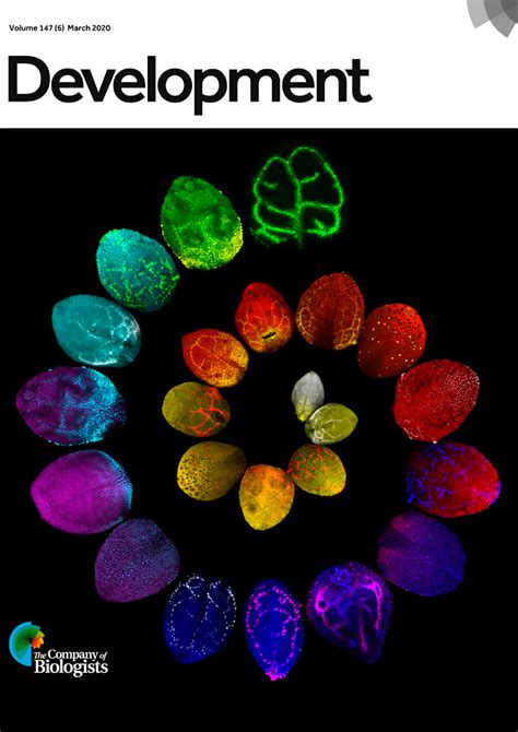 ::Dr Kalika Prasad's Lab::