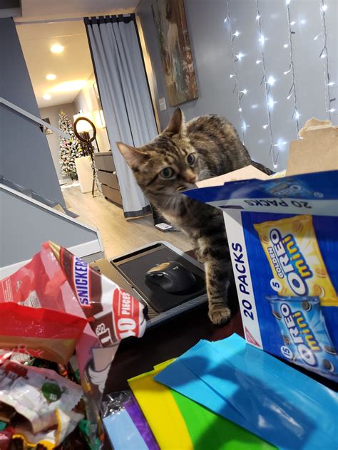 Image result for Ruby Sunset Live