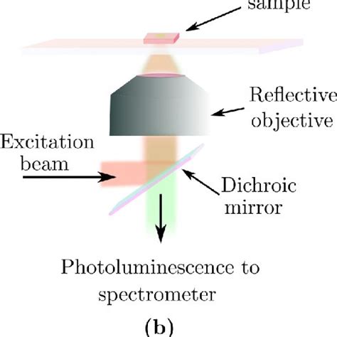 TCSPC Spectroscopy 的图像结果