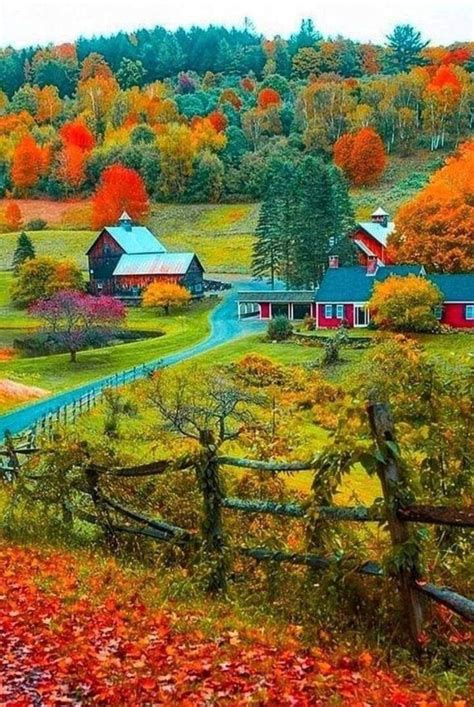 Fall 的图像结果