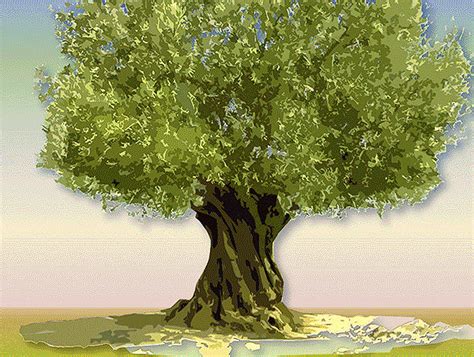 Best Animation Logos Tree 的图像结果