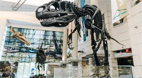 VIRGINIA MUSEUM OF NATURAL HISTORY (2025) All You Need to Know BEFORE ...