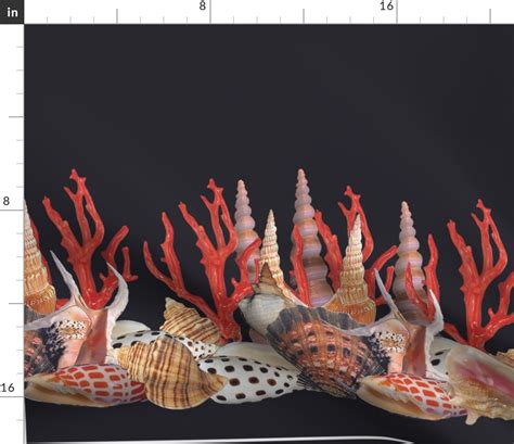 Shell Border 的图像结果