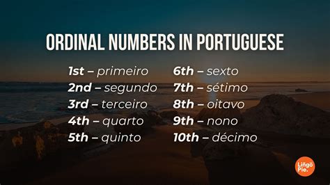 How To Count Portuguese Numbers 1-1000 Like A Pro