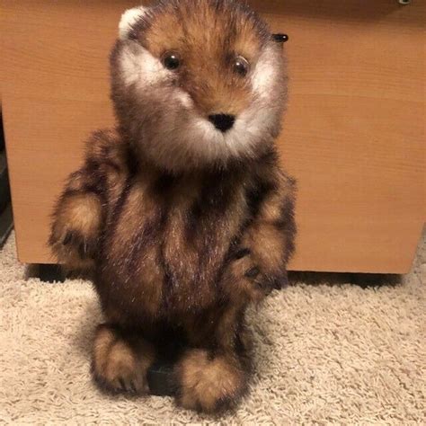 Image result for Push Button Caddyshack Dancing Gopher