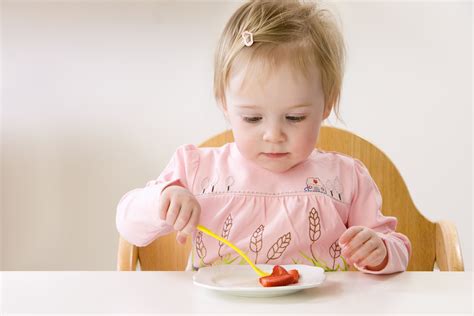 一岁半宝宝食谱大全及做法 14款美食制作简单又营养 - 辣妈贝贝