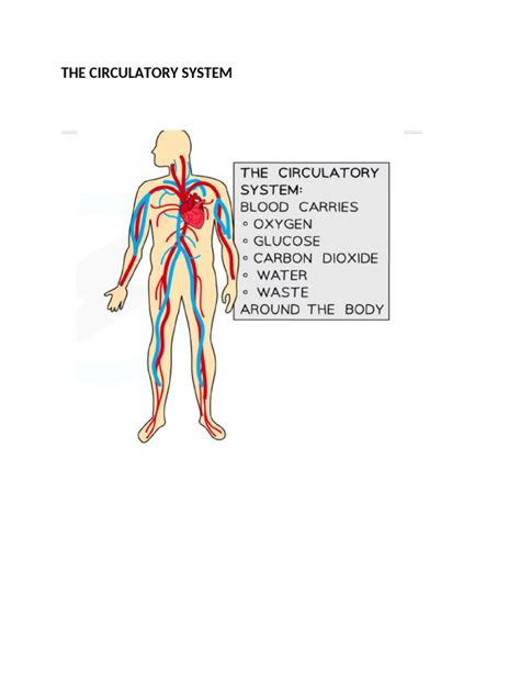Tutorial of How a Heart Functions 的图像结果