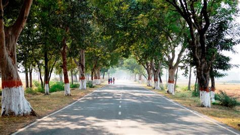 Indian Highways - And the disappearance of trees and milestones - Overdrive