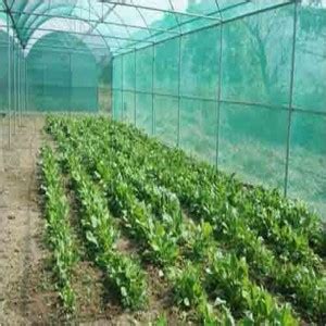 ZIMBLE garden shed plastic shed porch screen 90% Sun-Block Shade Cloth ...