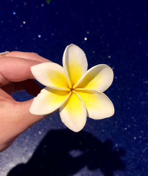 A six petal frangipani flower I found in our garden : r/mildlyinteresting