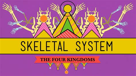 Image result for Crash Course Skeletal System