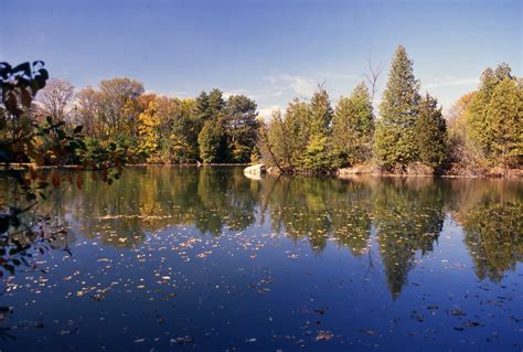 Max McGraw Wildlife Foundation | LinkedIn