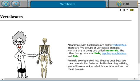 Language Arts Time4Learning 的图像结果